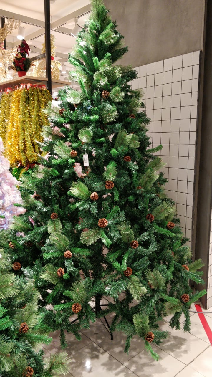 Where To Buy Christmas Trees In Malaysia