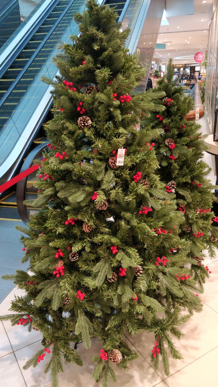 Where To Buy Christmas Trees In Malaysia