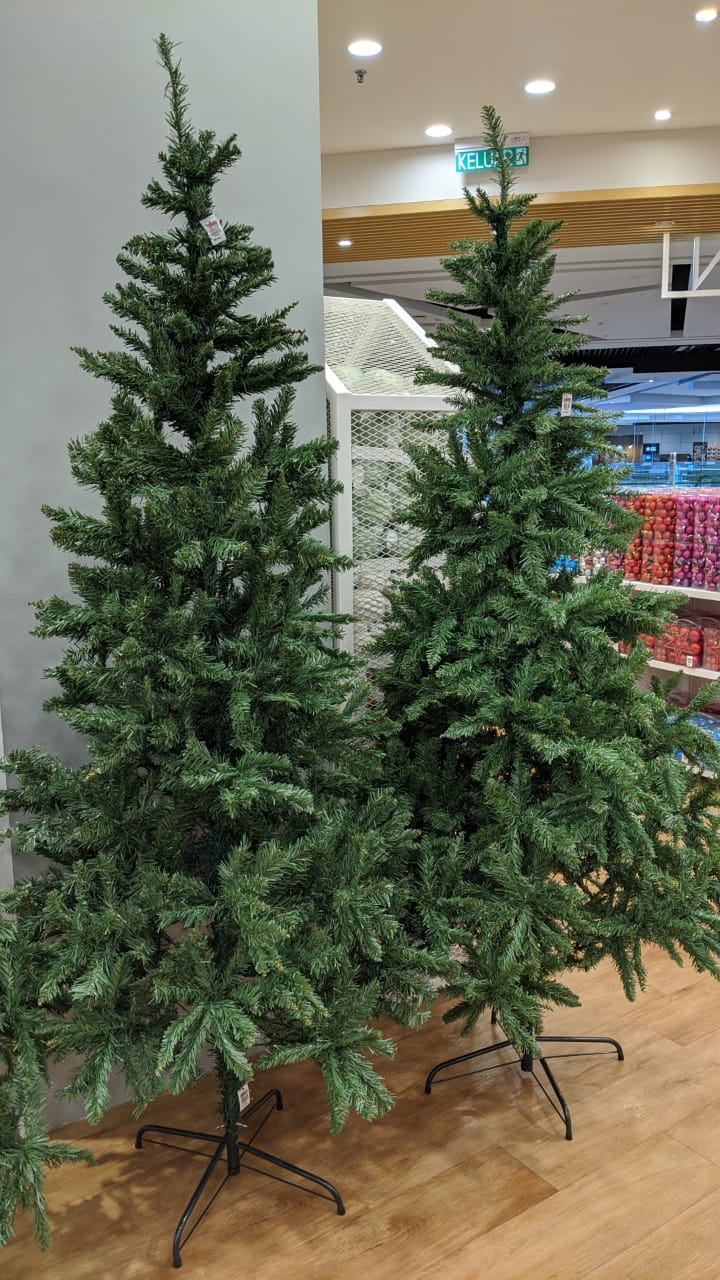Where To Buy Christmas Trees In Malaysia