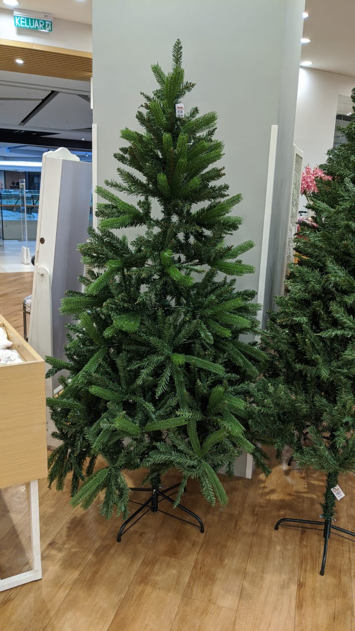 Where To Buy Christmas Trees In Malaysia