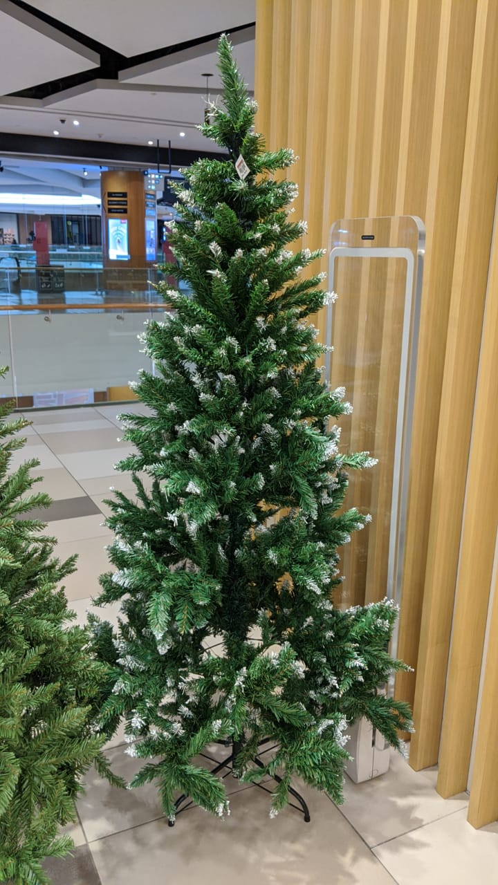 Where To Buy Christmas Trees In Malaysia