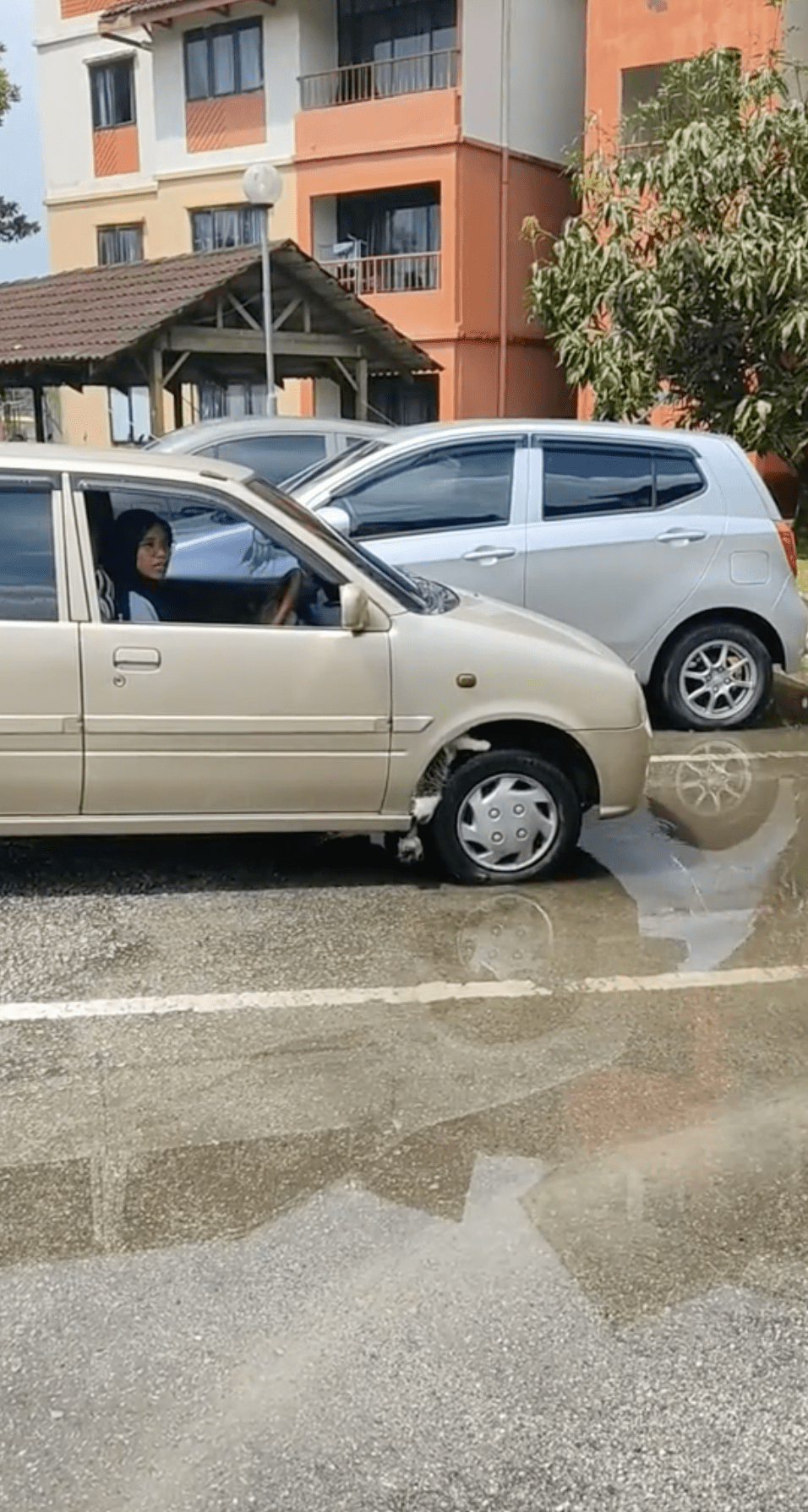 Gadis Tak Tolong Kucing Sangkut Dekat Tayar Ini Terima Kecaman