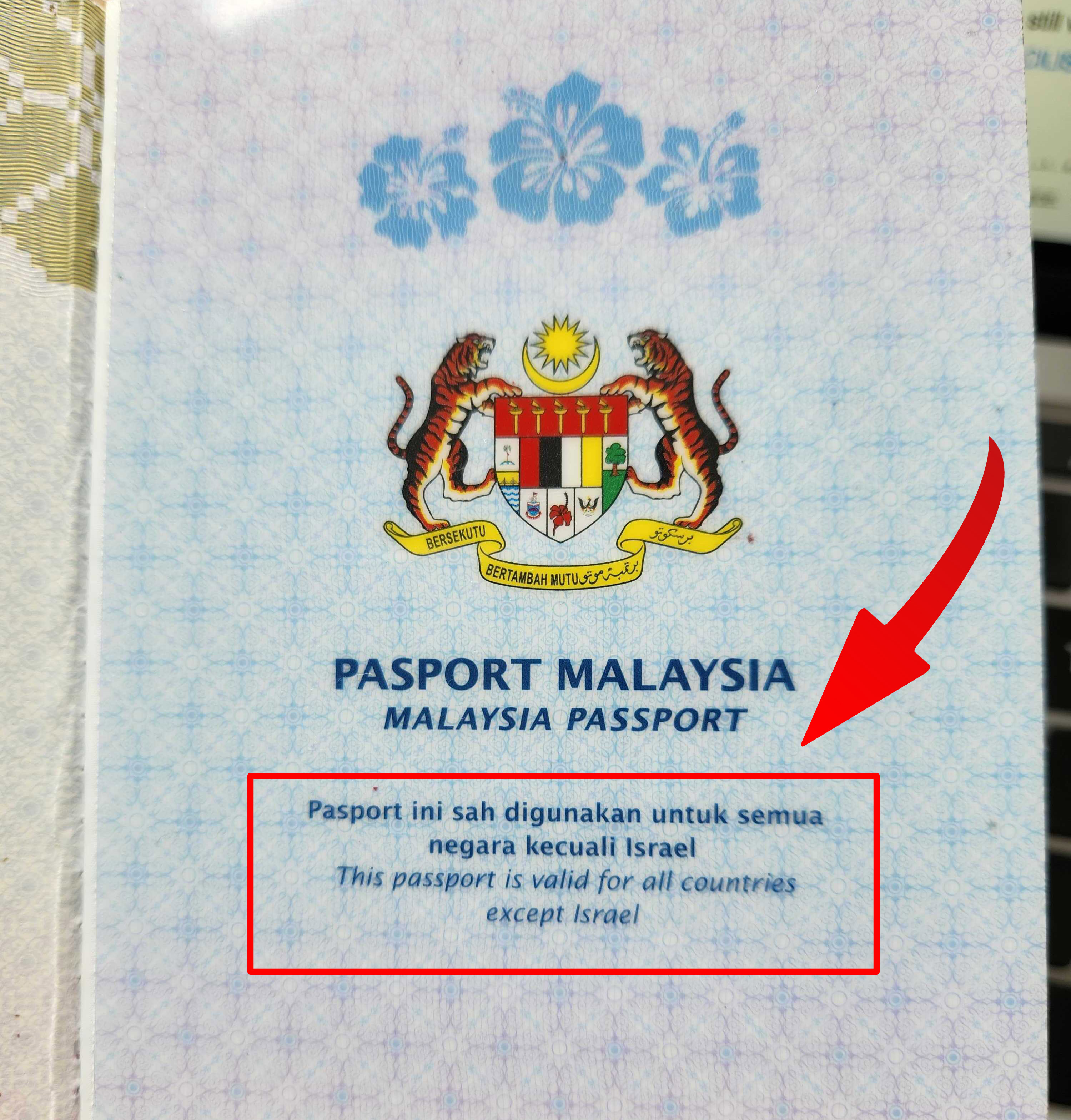 Why Do Malaysian Passports Have A 6Month Validity Before Expiring