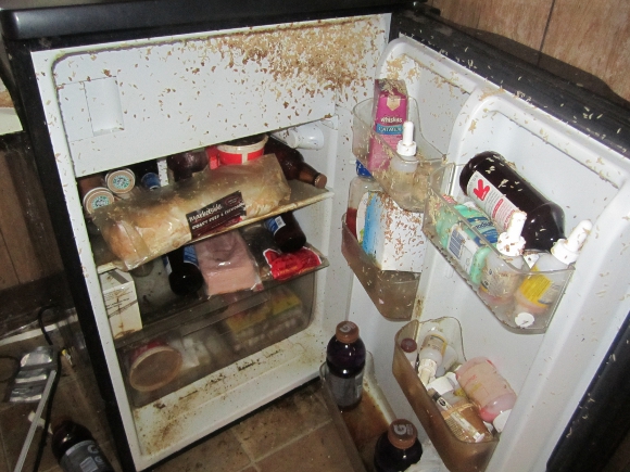 We Looked Through Disgusting Fridge Pics To Make You This Story