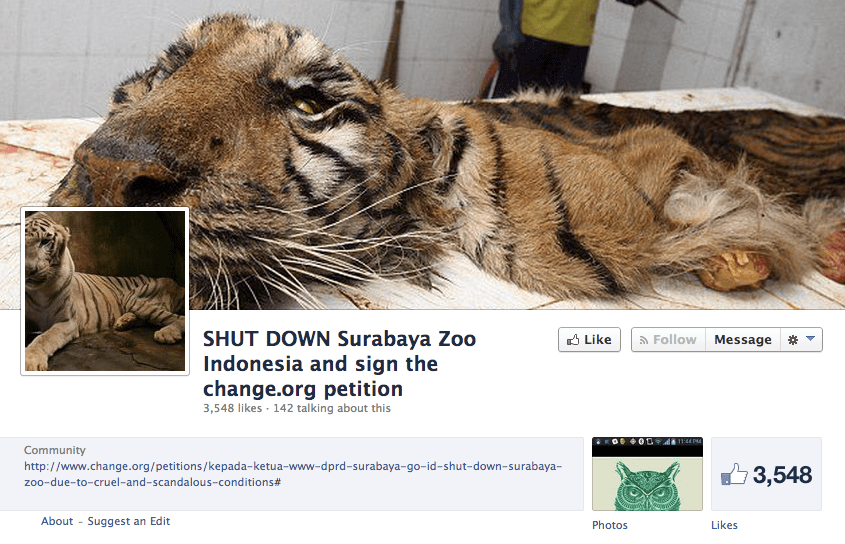 Michael The Lion Found Hanging In Its Cage In Indonesian Zoo