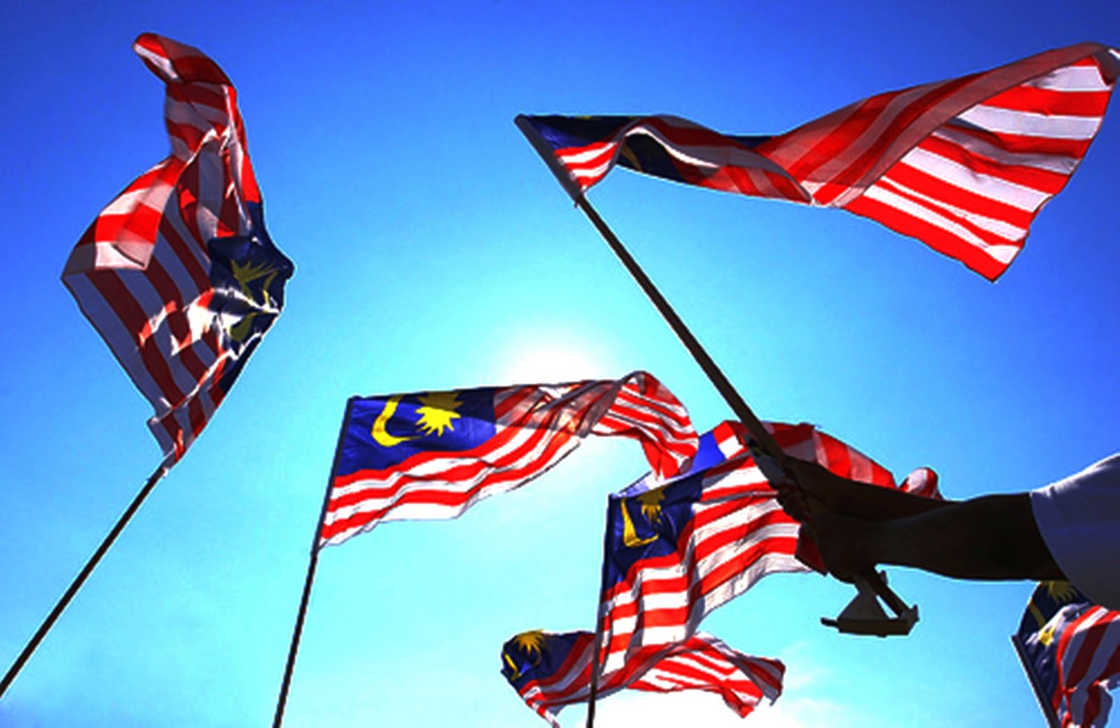 Gambar Orang Pegang Bendera Malaysia TyleraresRoth