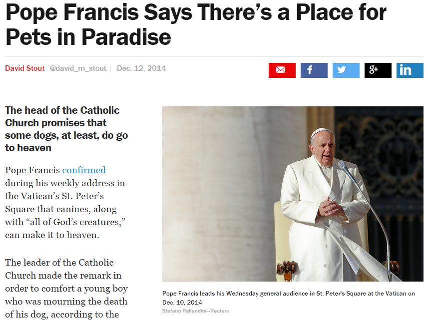[FACT OR FAKE 85] Did Pope Francis Really Say All Dogs Go To Heaven?