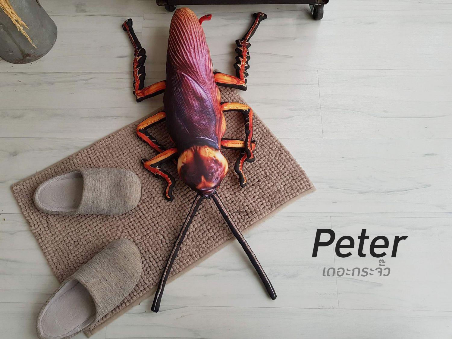 This Cockroach Pillow Called "Peter" Is The Best Surprise Gift For Your