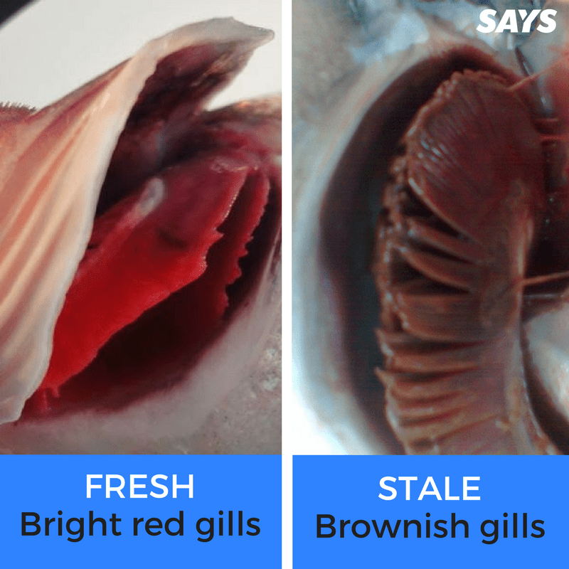 How To Know If The Fish You're Picking Out Is Actually Fresh