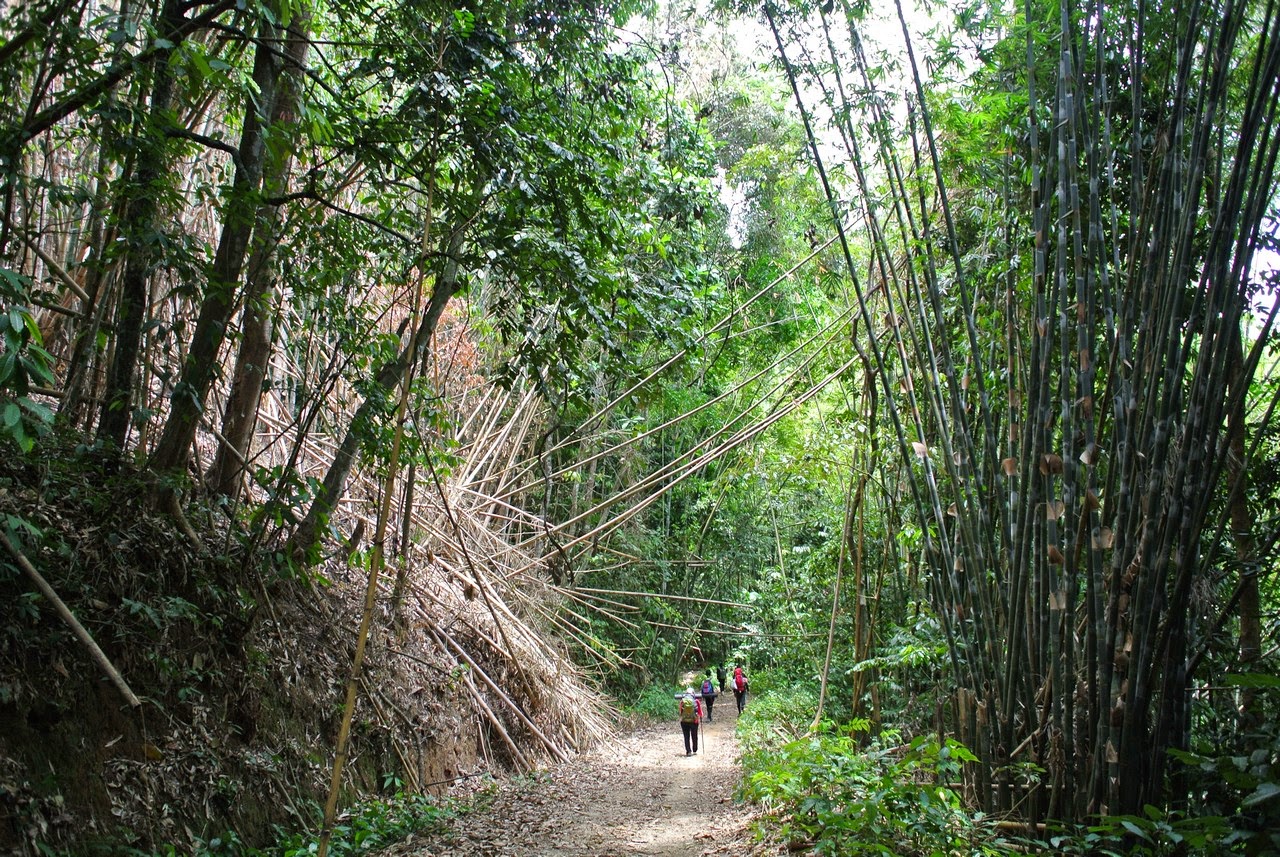 35YearOld Man Dies During Hike On Gunung Nuang In Hulu Langat