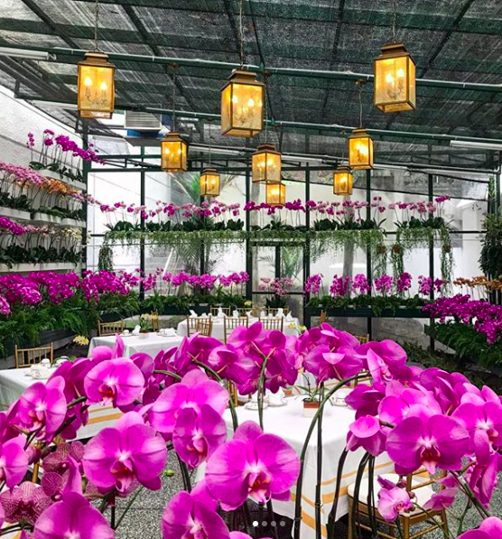 7 NatureThemed Cafes In Klang Valley