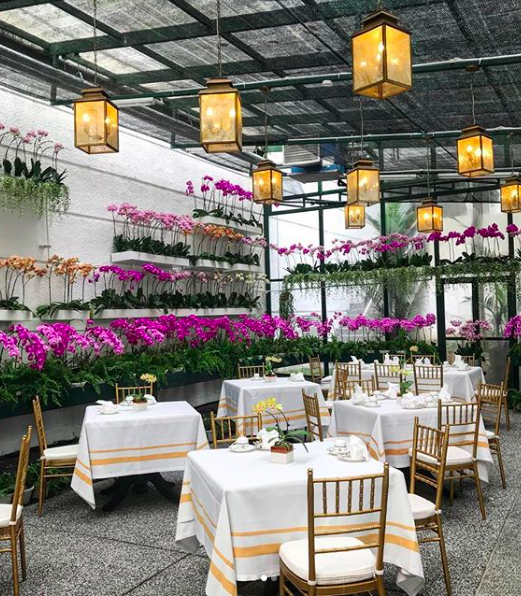 7 NatureThemed Cafes In Klang Valley