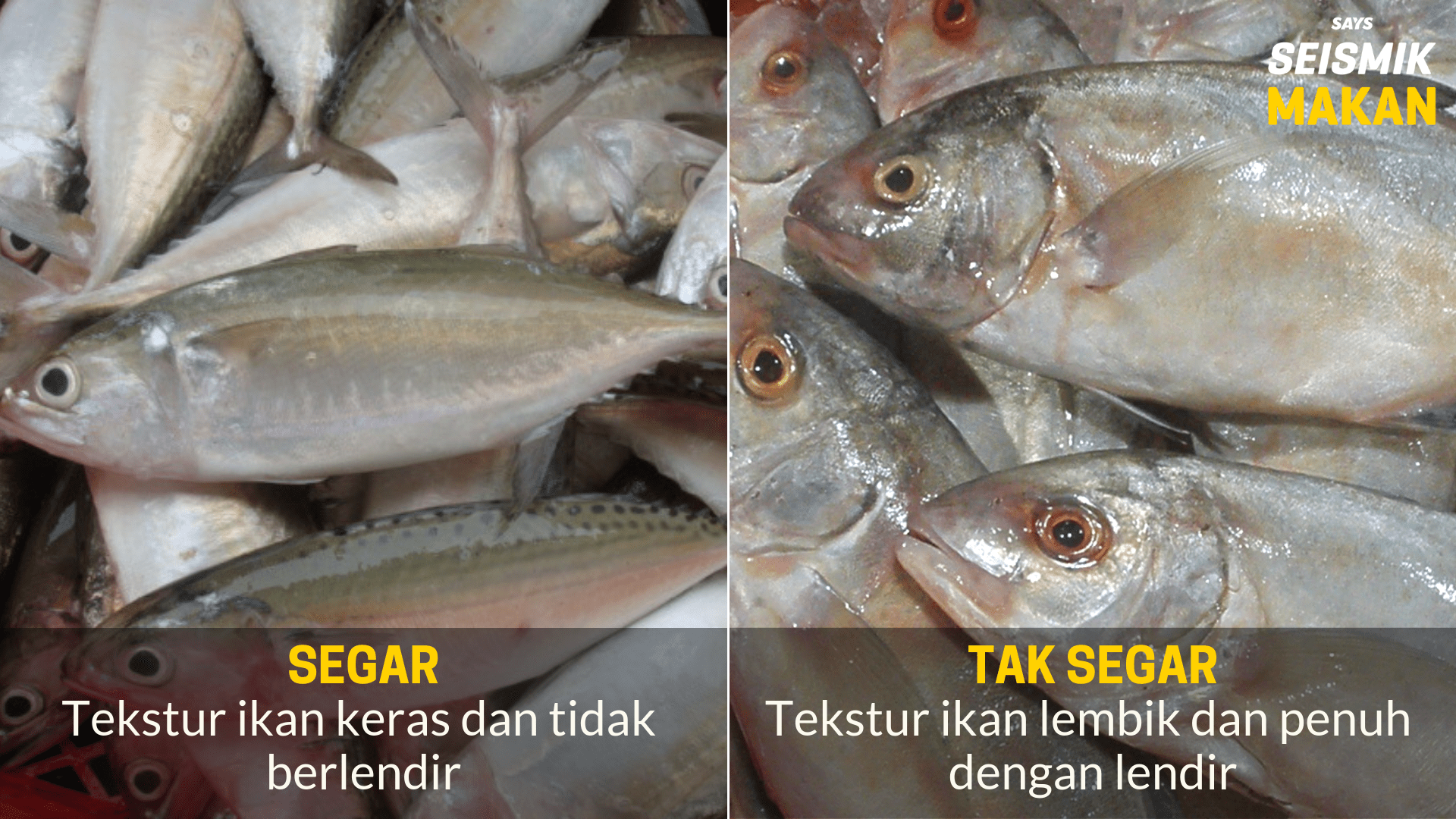 Tips Senang Untuk Memilih Ikan Yang Segar