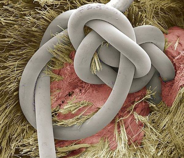 These Everyday Things Zoomed In At Microscopic Level Look Really