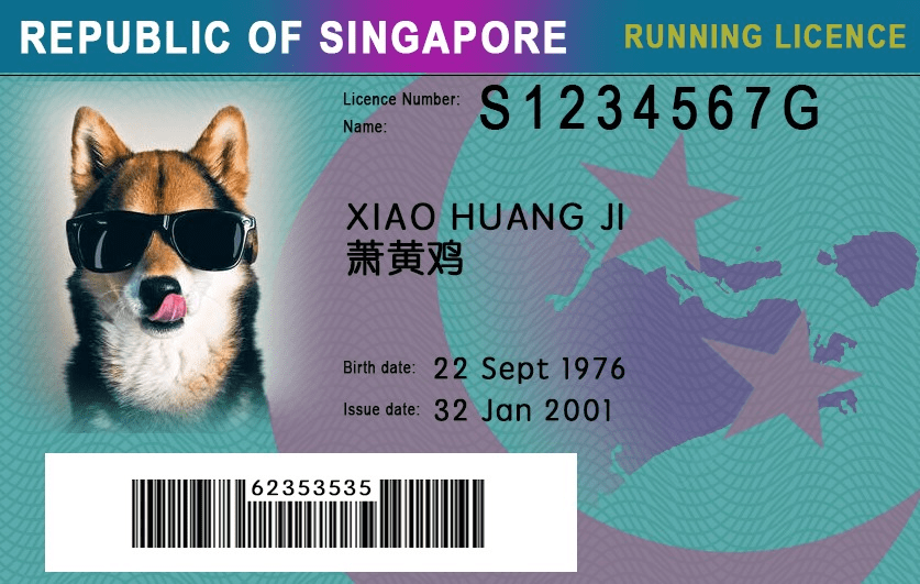[PHOTOS] This Singaporean Created 'Identification Cards' For Pets To Prevent Missing Cases