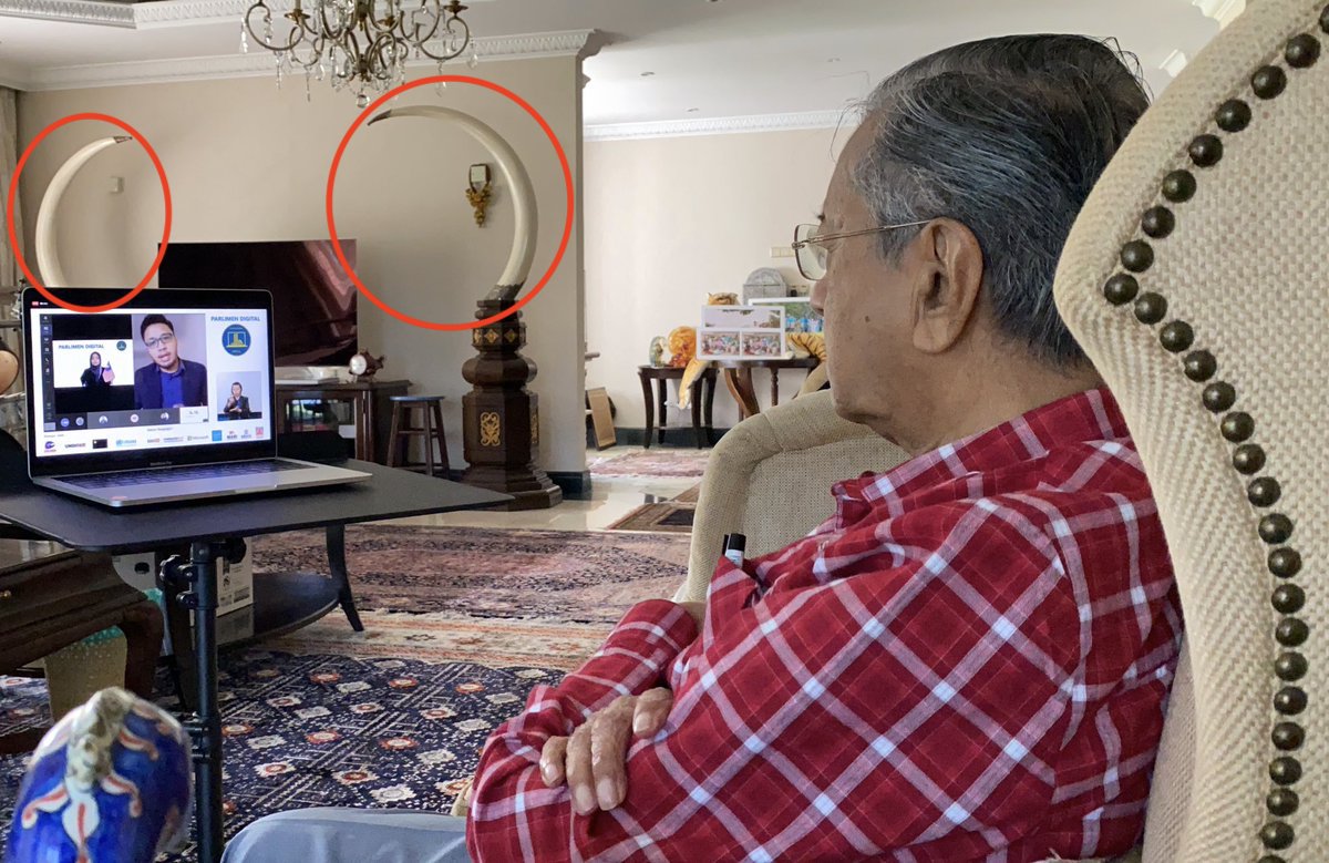 Netizens Are Shocked By The Presence Of Two Huge 'Ivory