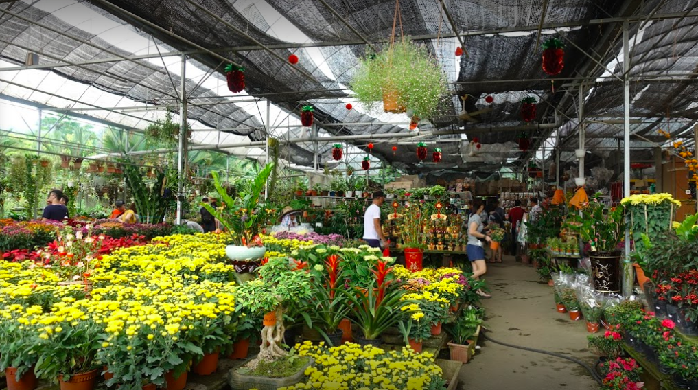15 Plant Nurseries In KL & Selangor For Your Garden Supplies