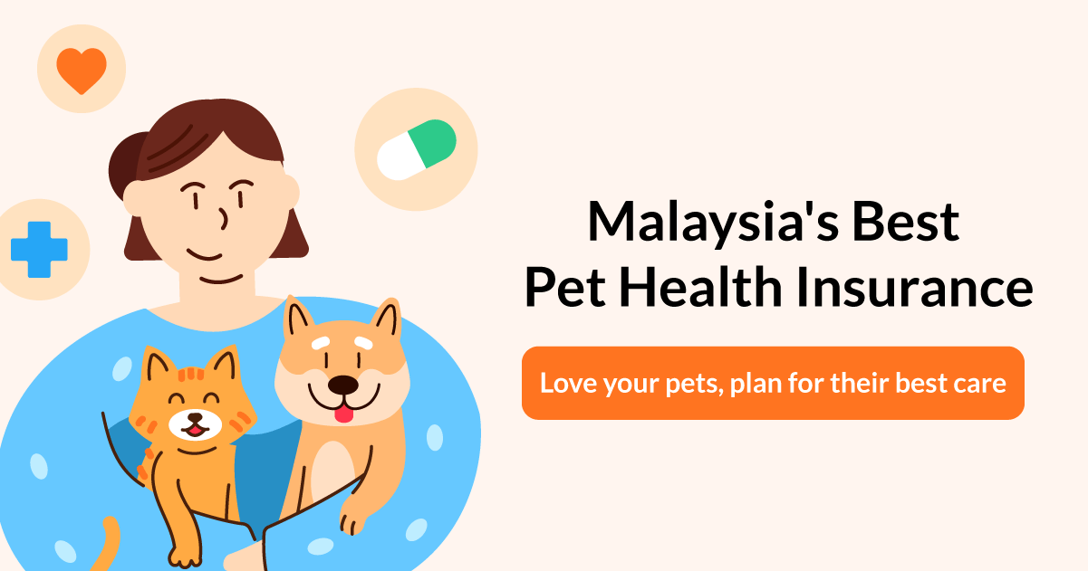 Here's How You Can Get Insurance For Your Pet In Case Of An Unforeseen