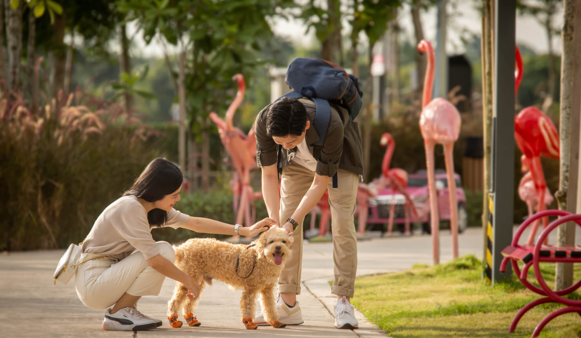 12 PetFriendly Parks