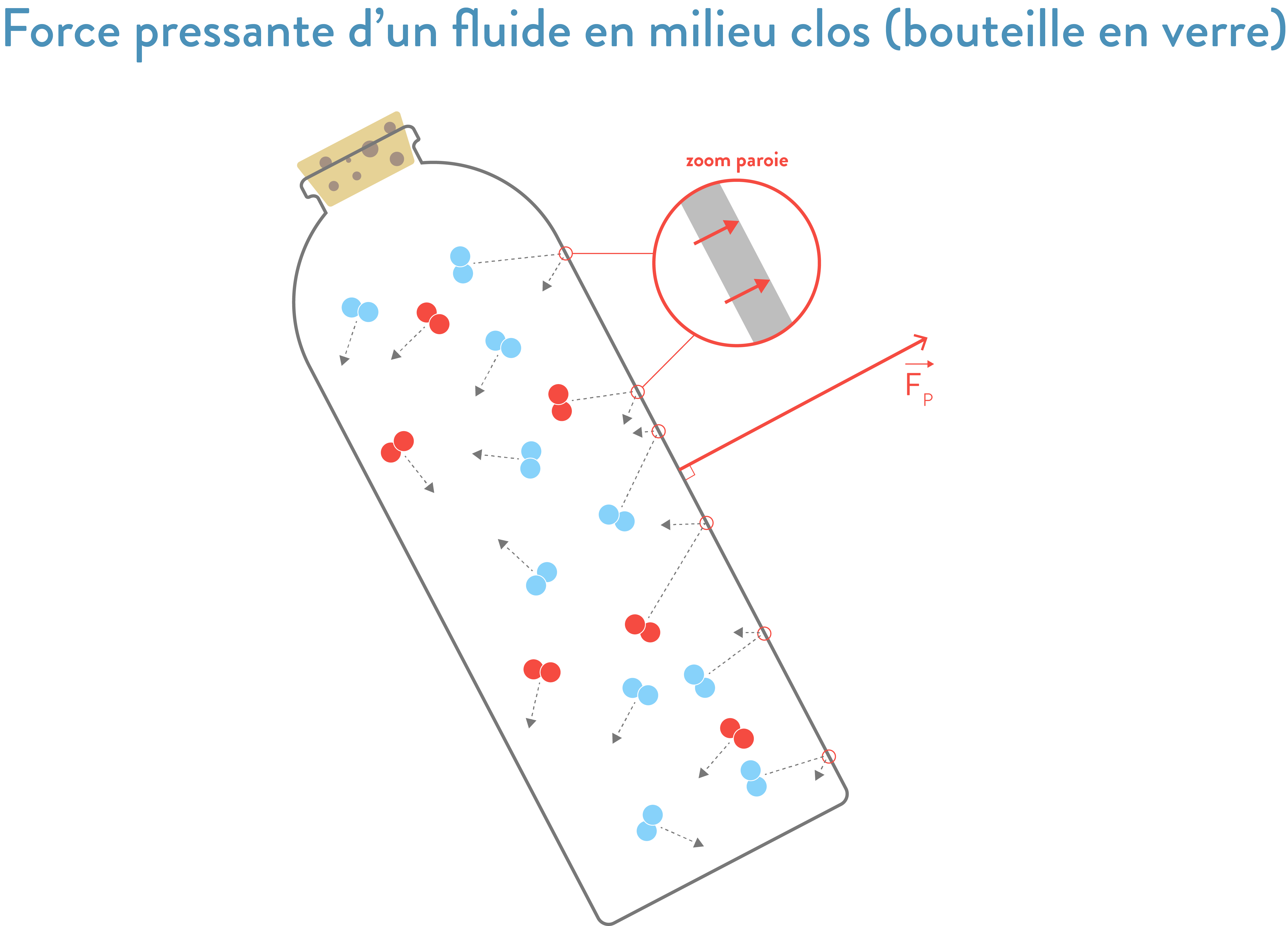 Pression des gaz et des liquides cours Ex 2nde Physiquechimie