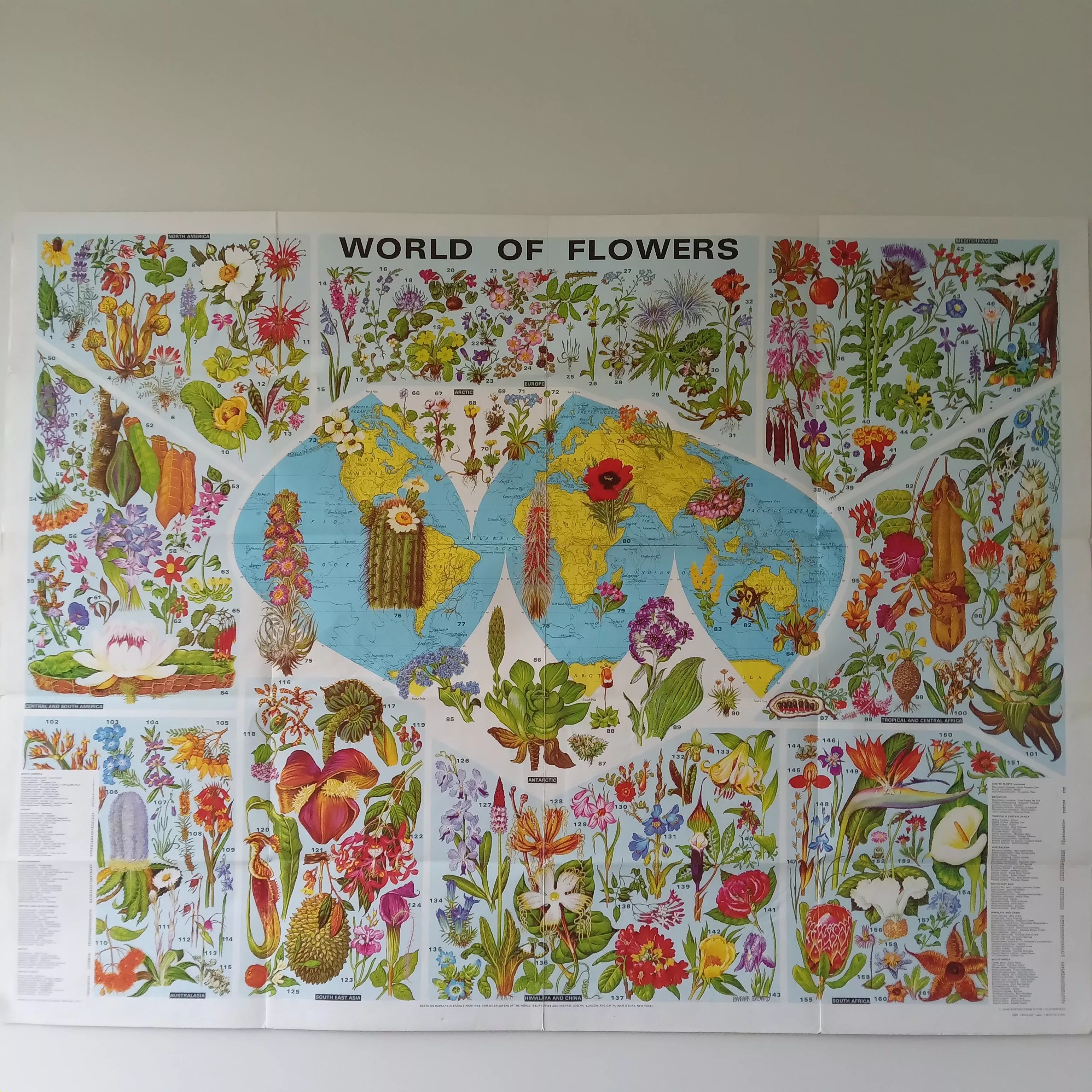 Poster map of the flowers of the world Selency