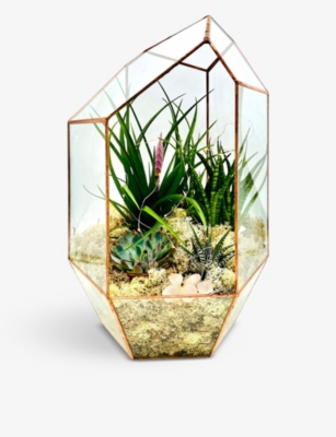 THE URBAN BOTANIST Supersize Rose Quartz copper terrarium with lights