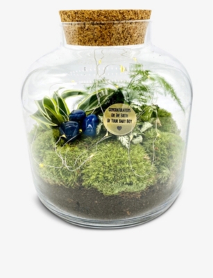 THE URBAN BOTANIST Baby Boy Grande Ecosystem recycledglass terrarium