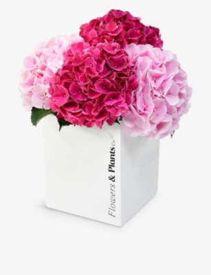 FLOWERS & PLANTS CO. Cerise and pink hydrangea freshflower bouquet
