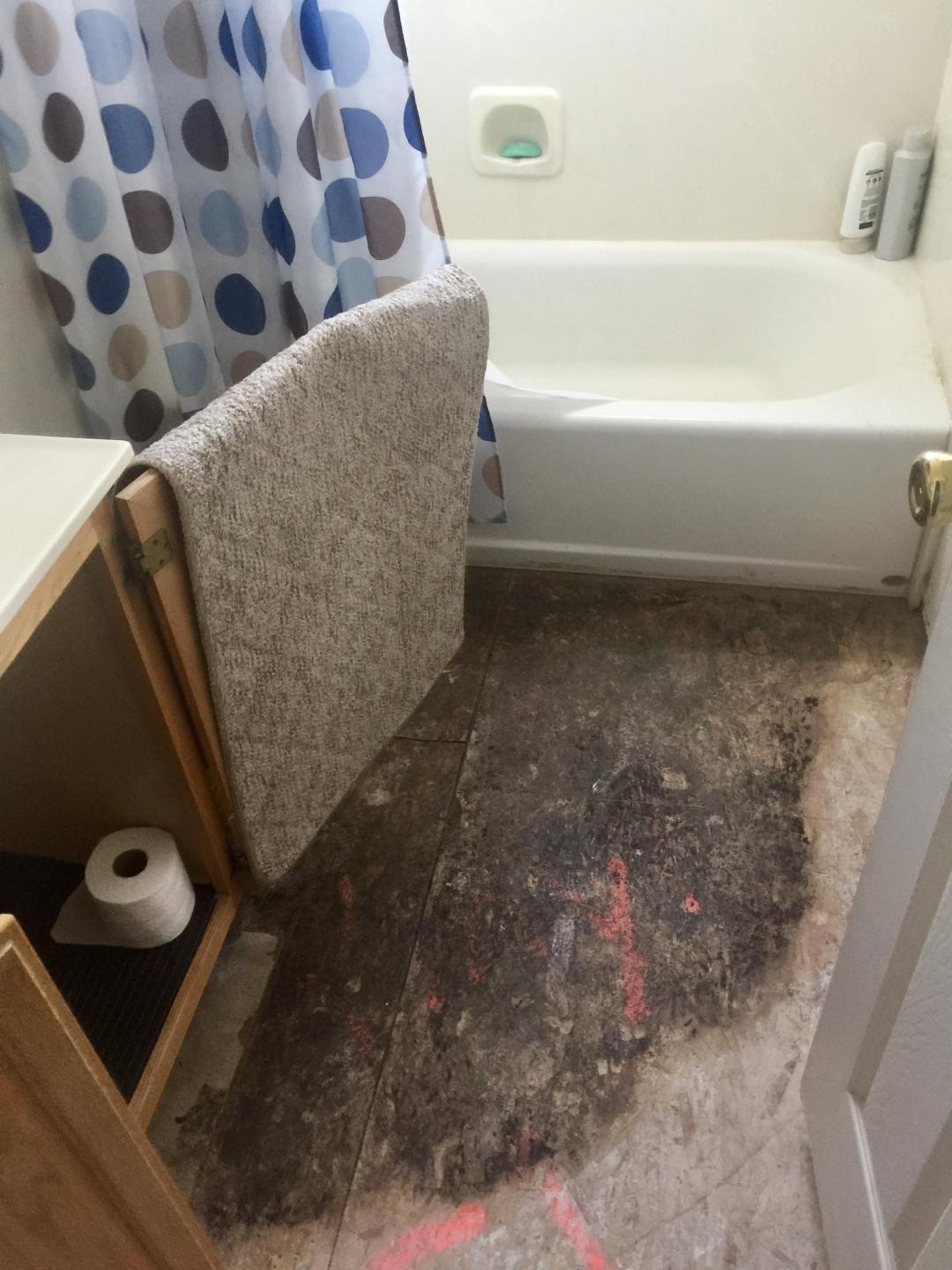 Photo Gallery Denver Mold Removal