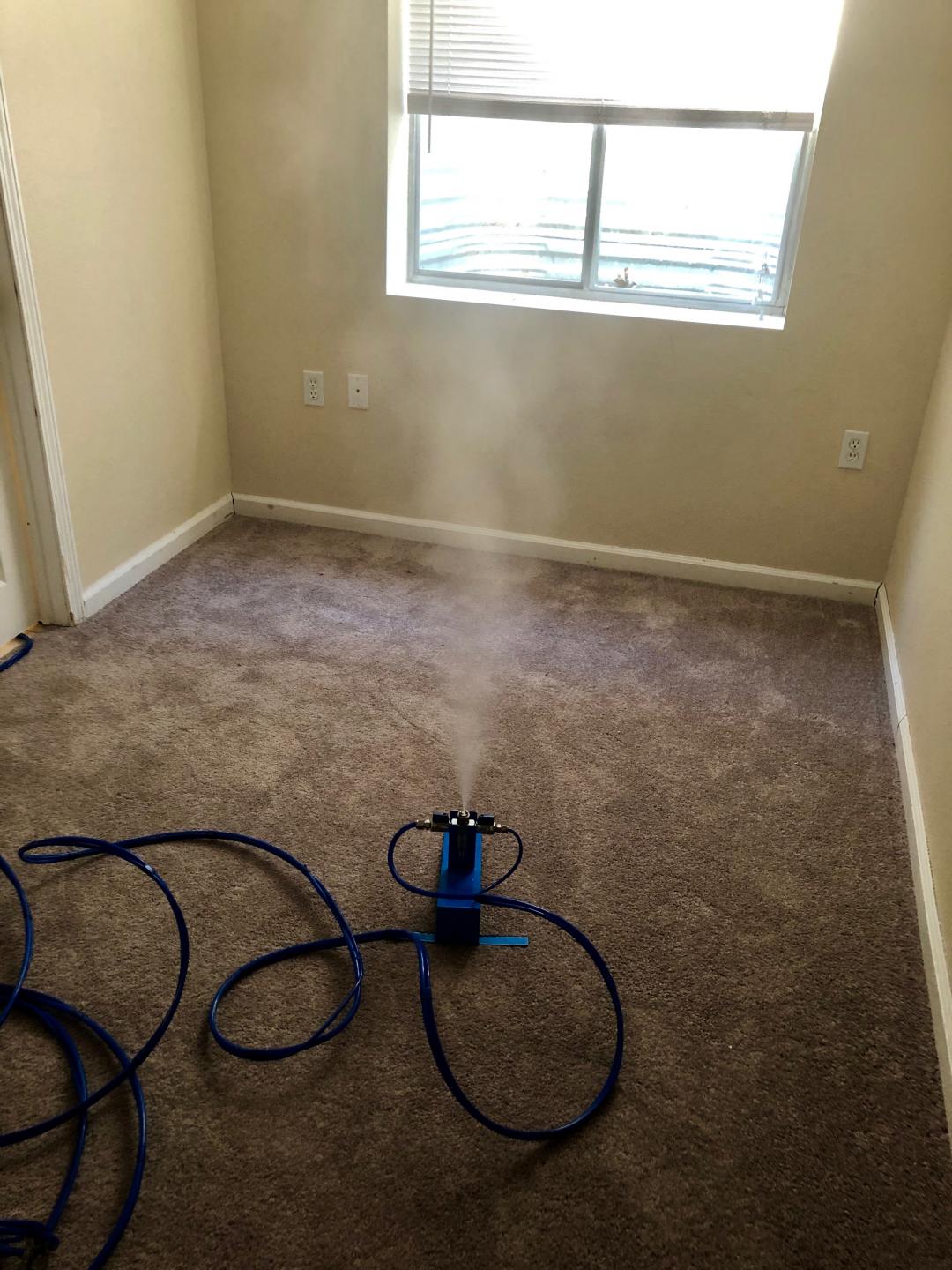 Photo Gallery Denver Mold Removal