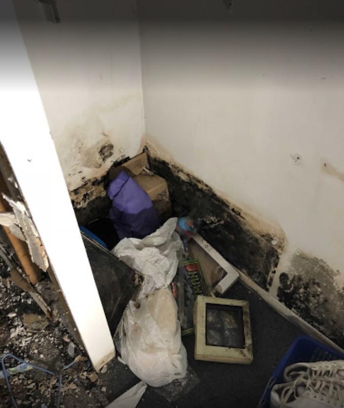 Mold Removal Joliet 8153968823 Restoration 1 of Chicago Southland