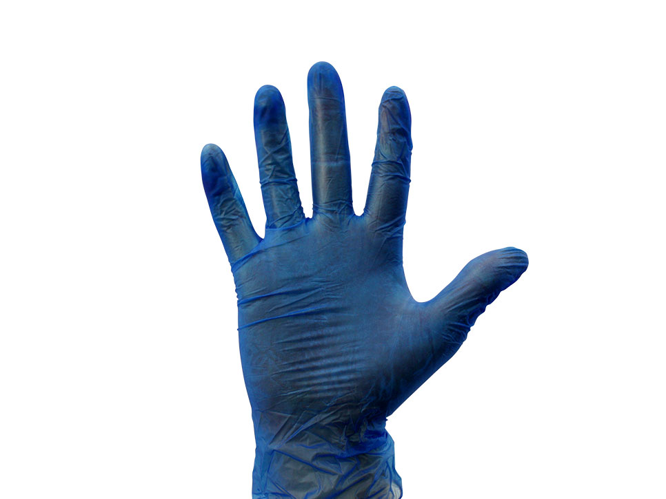 vinyl gloves clear extra large x 100 Shiploads