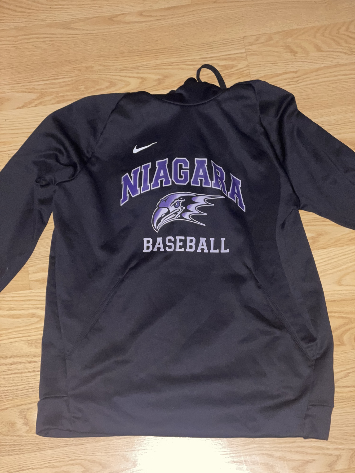 Nike Niagara Baseball Team Issued Hoodie SidelineSwap