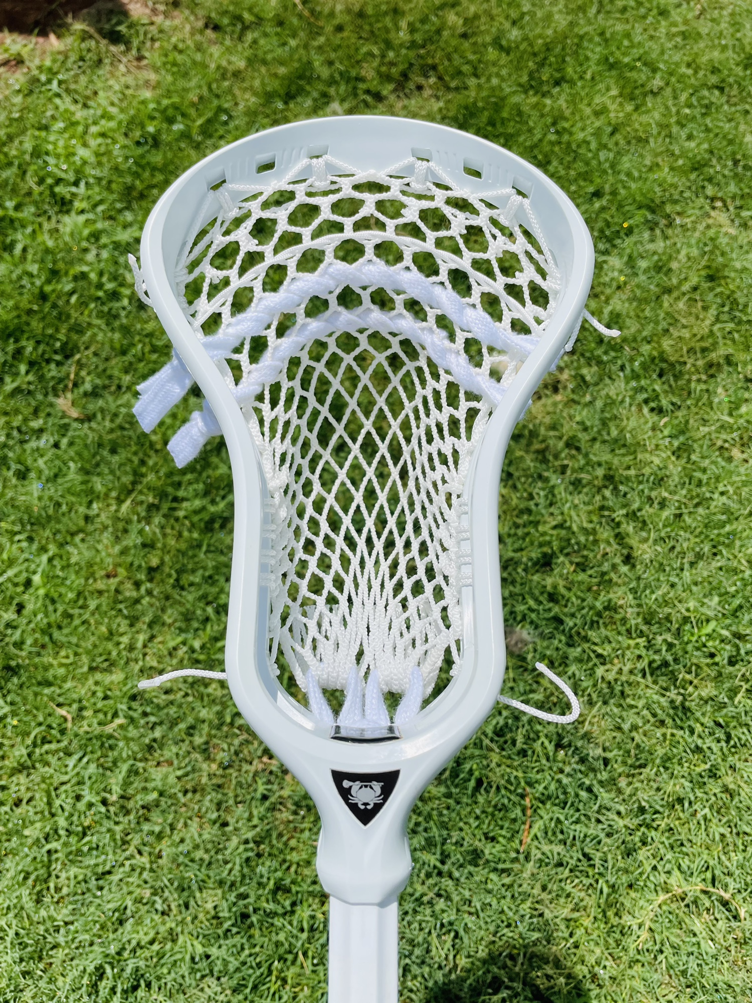 New ECD DNA W/ ECD Vortex Mesh SidelineSwap