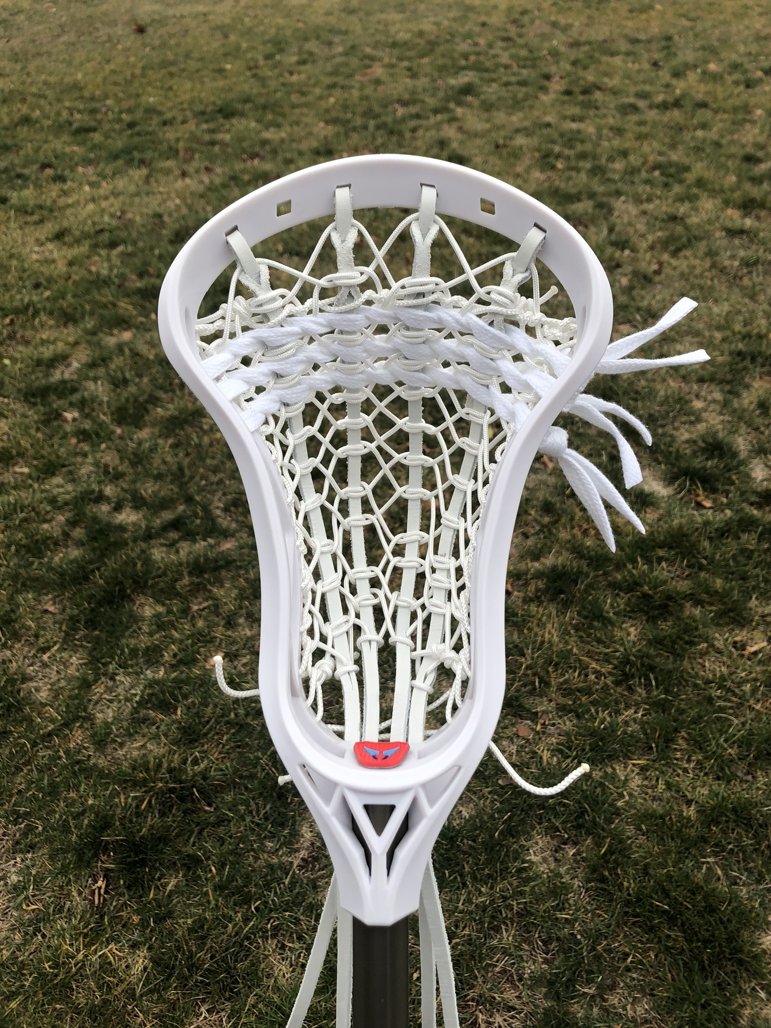 New Traditional Box Lacrosse Head SidelineSwap