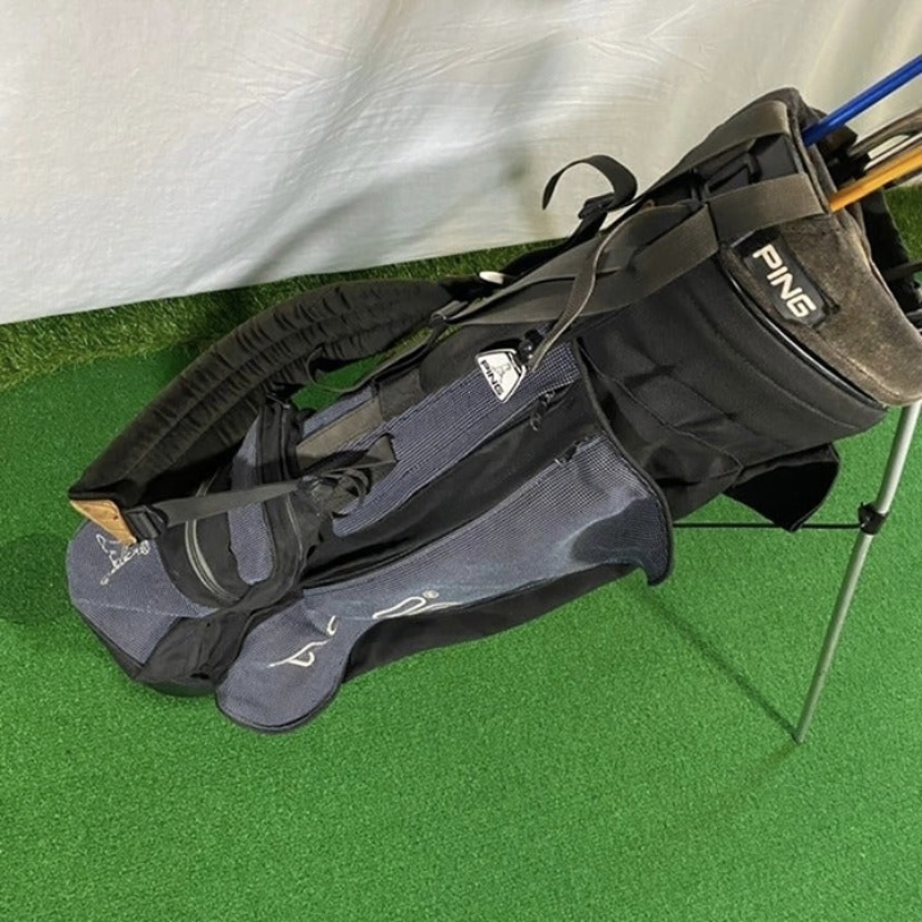 Ping and Top Flite Golf Club Complete Set With Ping Hoofer Stand Bag