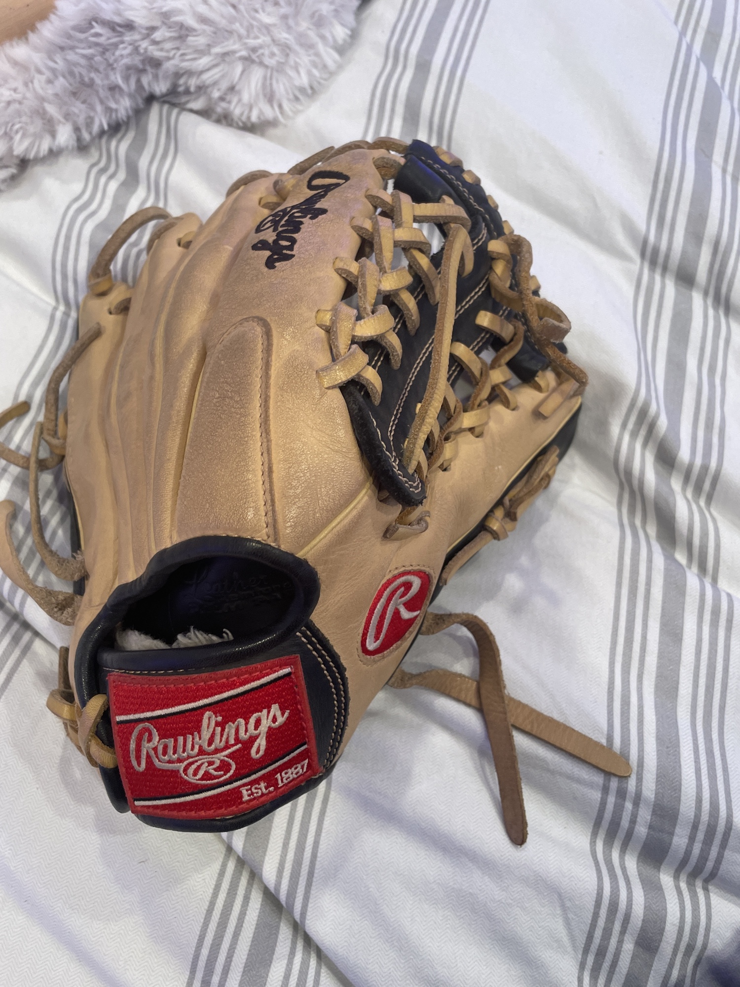 Outfield 11.25" Gold Glove Gamer Series Baseball Glove SidelineSwap