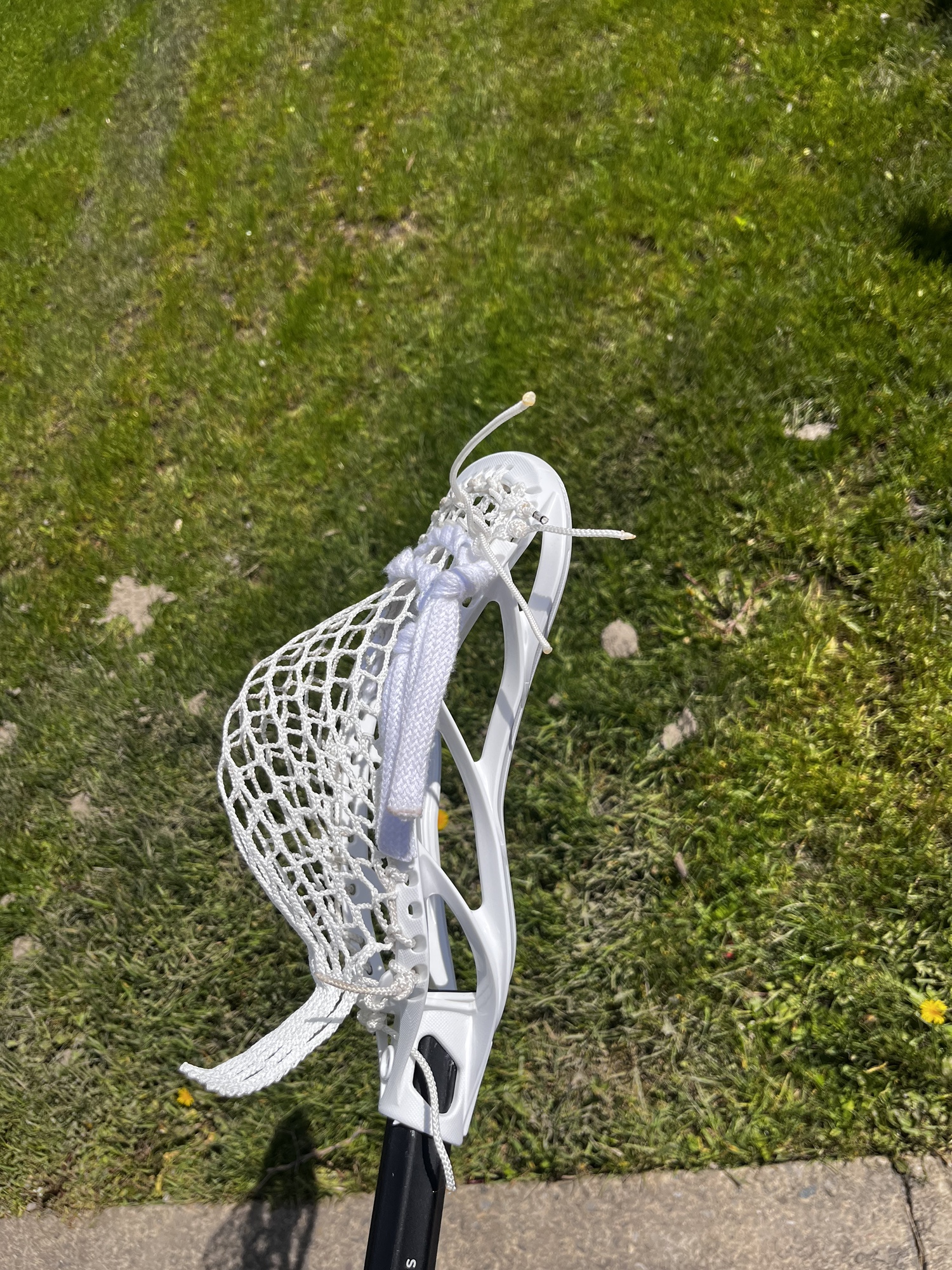 BN pro Strung Gait mustang SidelineSwap