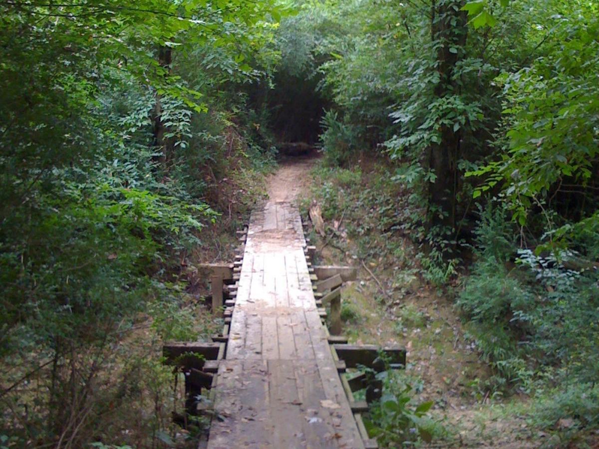 Wolf River Trail photo