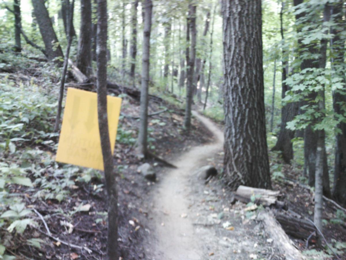 Whitetail Ridge photo