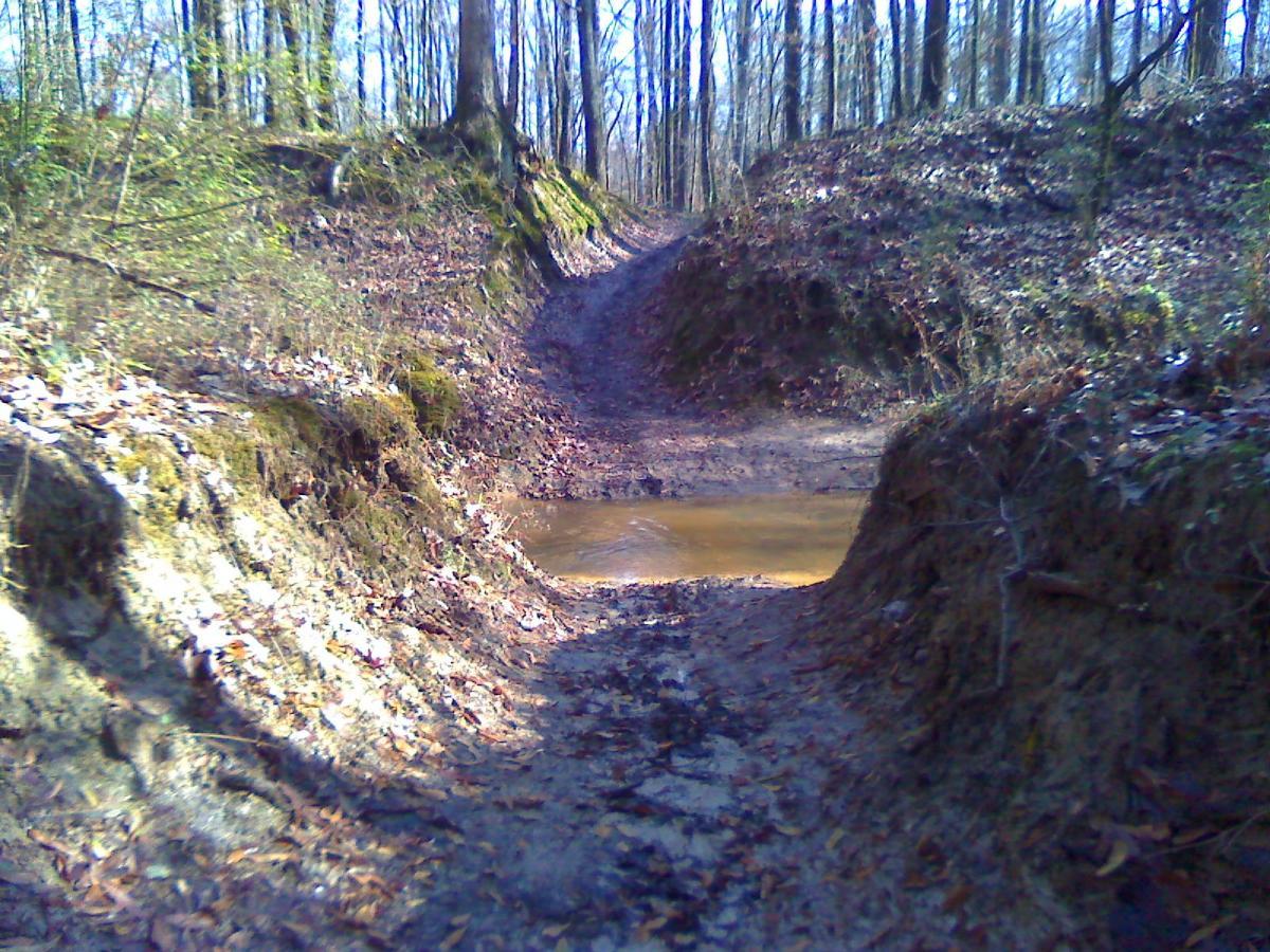 Wolf River Trail photo