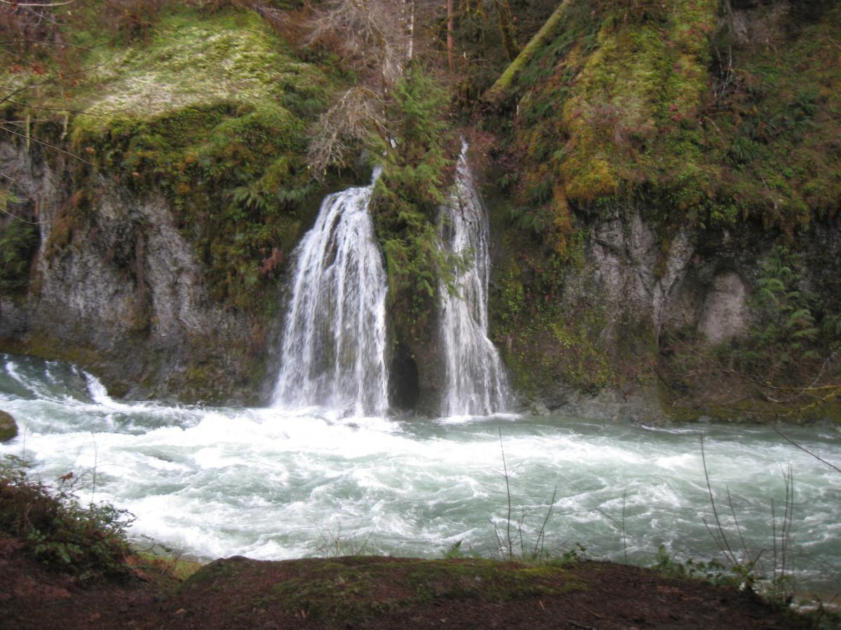 Salmon Creek Trail photo