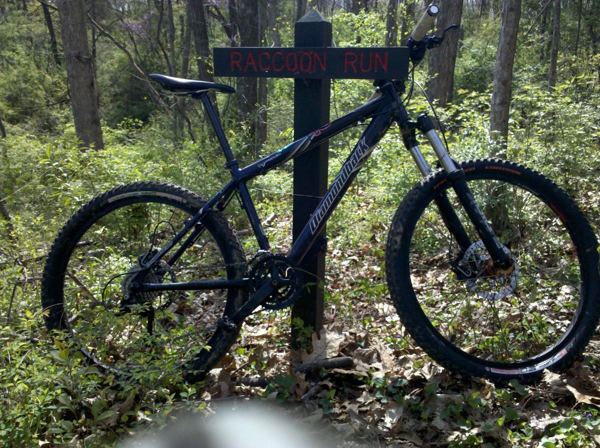 Sugar Hollow Park photo