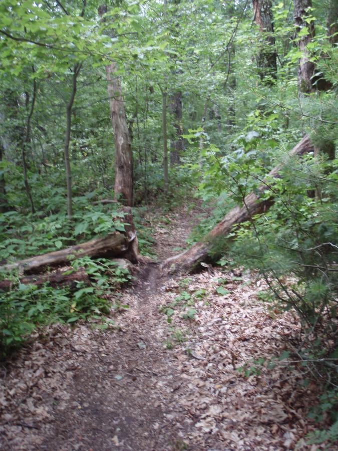 Hartman Creek State Park Mountain Bike Trail in Waupaca, Wisconsin