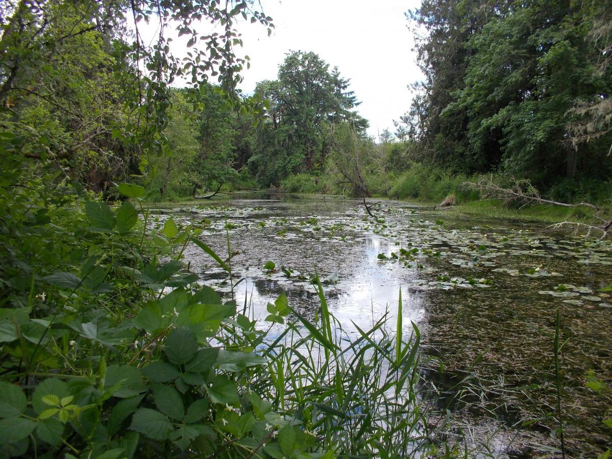 Elijiah Bristow State Park photo