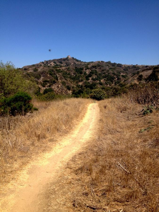 Turnbull Canyon Mountain Bike Trail in Whittier, California