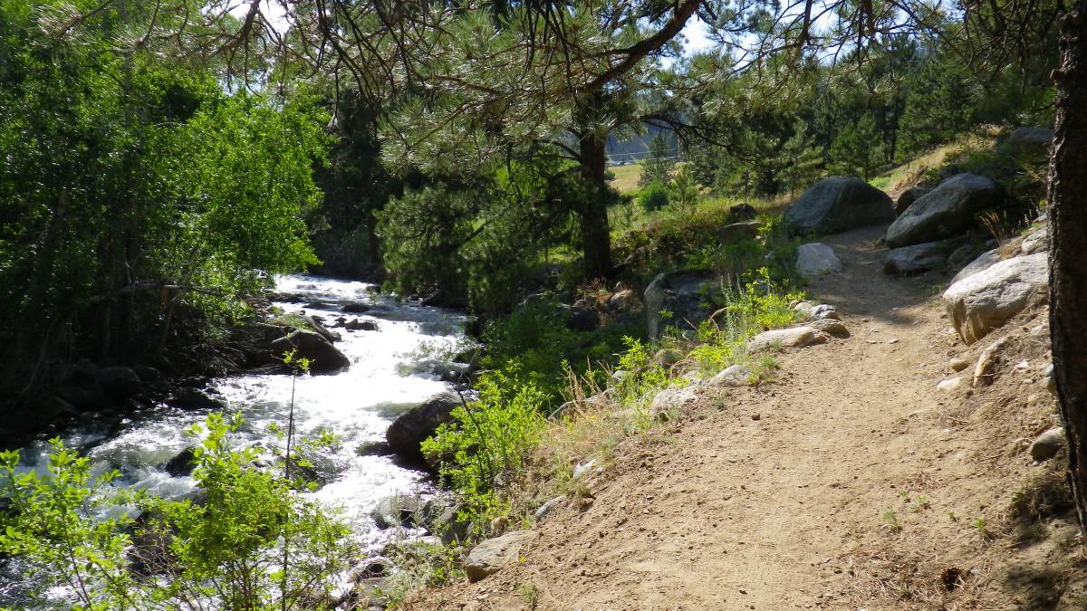 Clear Creek Mountain Bike Trail in Buffalo, Wyoming