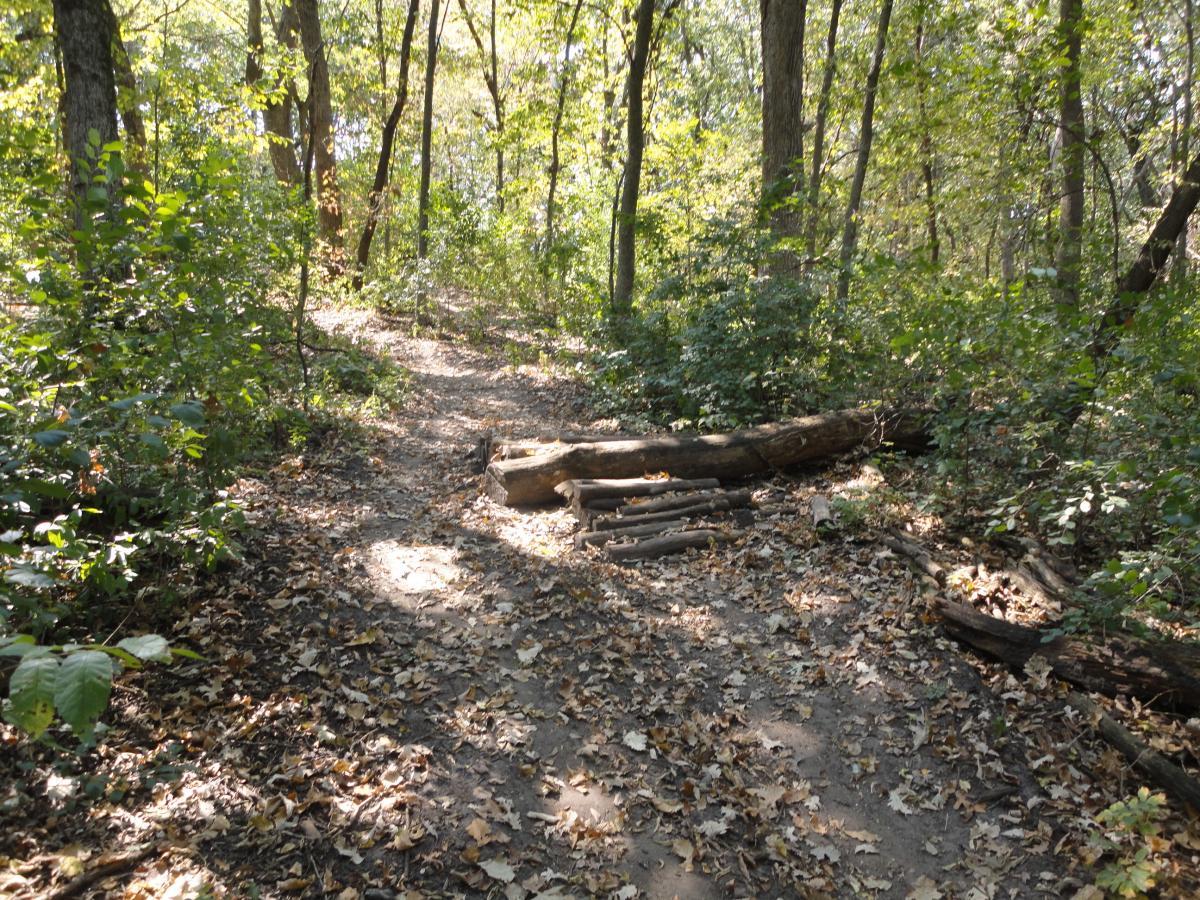 Eastwood Trails Mountain Bike Trail in Rochester, Minnesota