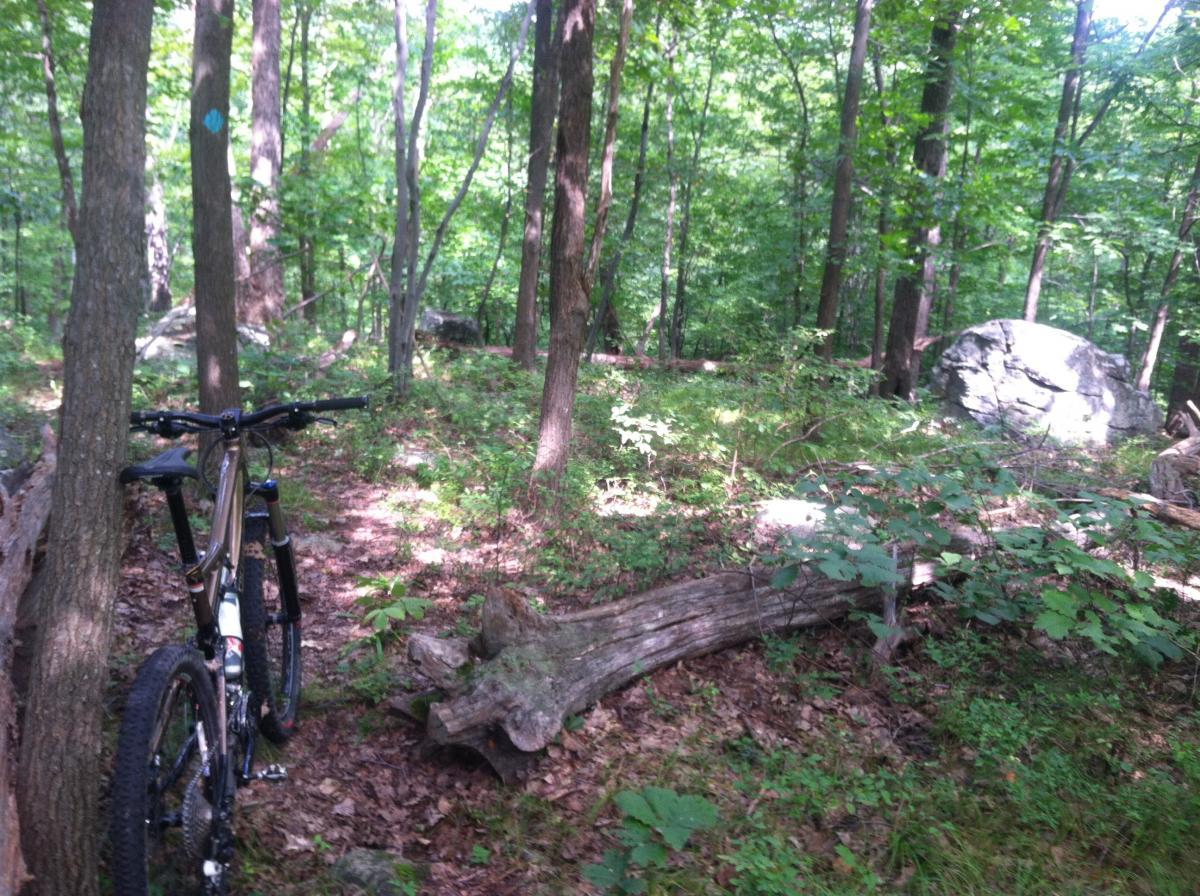 Mahlon Dickerson Mountain Bike Trail in Oak Ridge, New Jersey