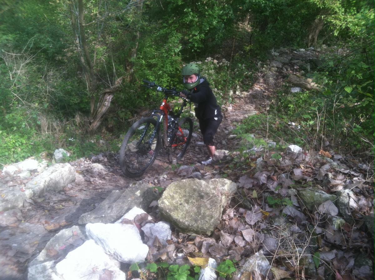 Palos Forest Preserve photo